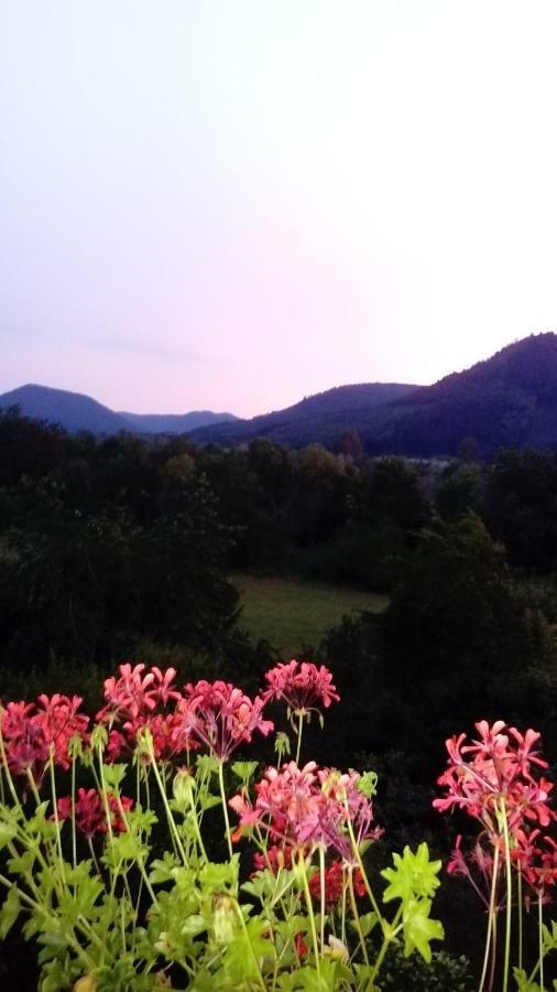 Au Gre Des Sentiers Chez Marie Et Pierre Bed and Breakfast Saint-Die-des-Vosges Εξωτερικό φωτογραφία